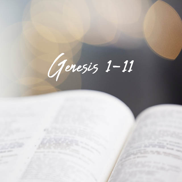 Sundays, 9 AM, Room 407
In this class we’ll look carefully at Genesis 1-11 and consider them in light of their Ancient Near Eastern background as well as their influence in the history of the church and the wider culture.
